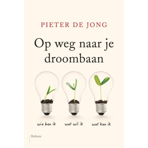 Op Weg Naar Je Droombaan - Pieter de Jong
