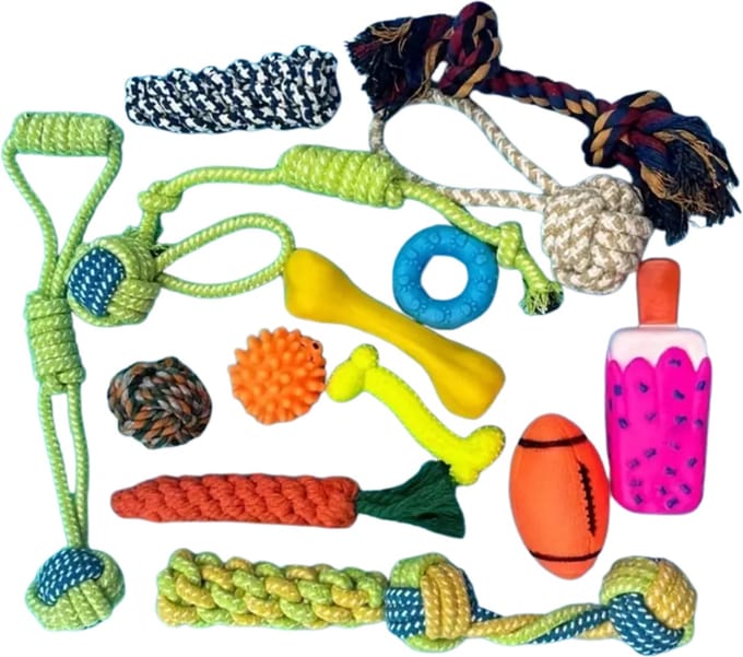 Nivard Honden Speelgoed - Hond - Speelgoed - Dog Toy - Pluche - 7st