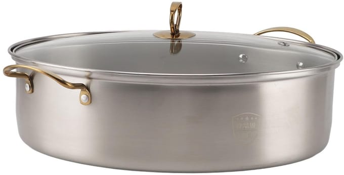 Dailygoods- Visstoompot Roestvrij staal - Multifunctioneel Kookgerei - Glazen
