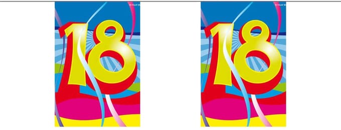 18 Jaar Minislinger - 4 meter