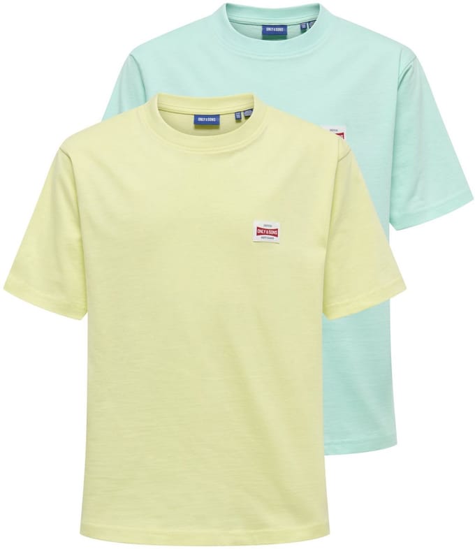 ONLY & SONS JUNIOR T-shirts OSJFRED 2-pack T-shirts