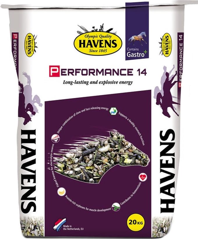 Havens Performance | 20kg