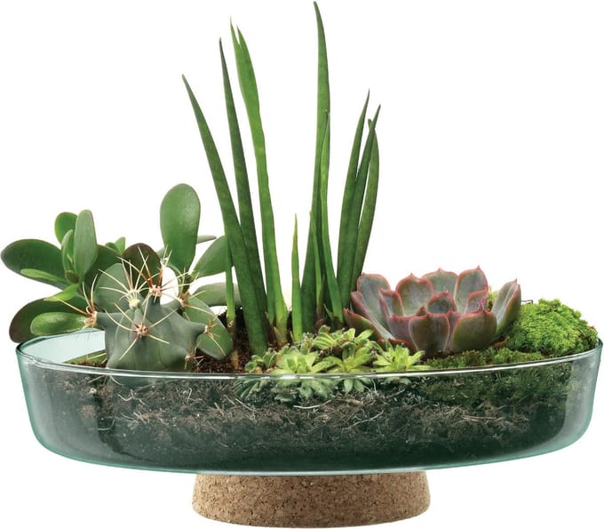 L.S.A. - Canopy Plantenschaal op Voet ø 28 cm - Transparant
