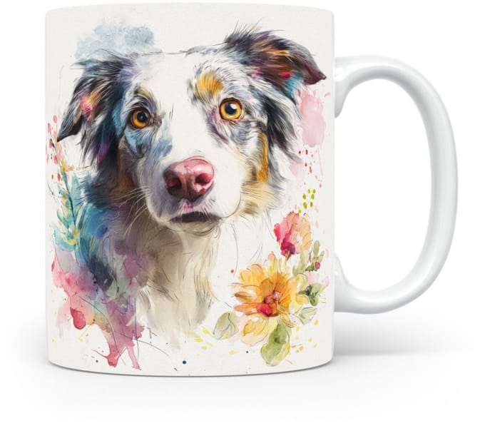 Beker Border Collie