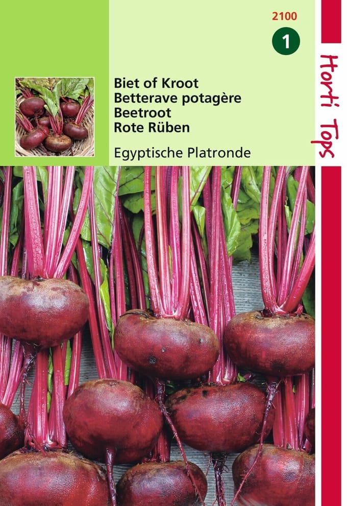 2 stuks - Hortitops - Bieten Egyptische Platronde