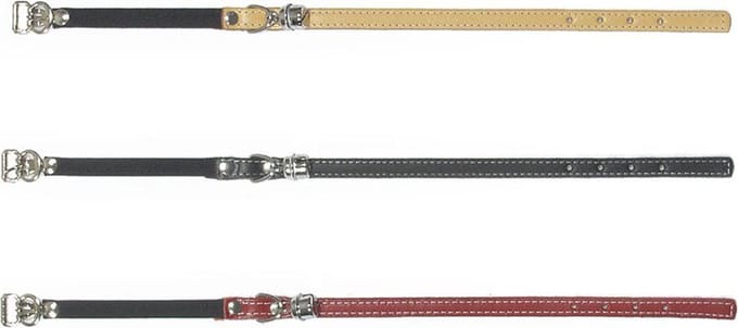 Beeztees - Kattenhalsband - Incl. Bel - Zwart - 32x1x0,2 cm