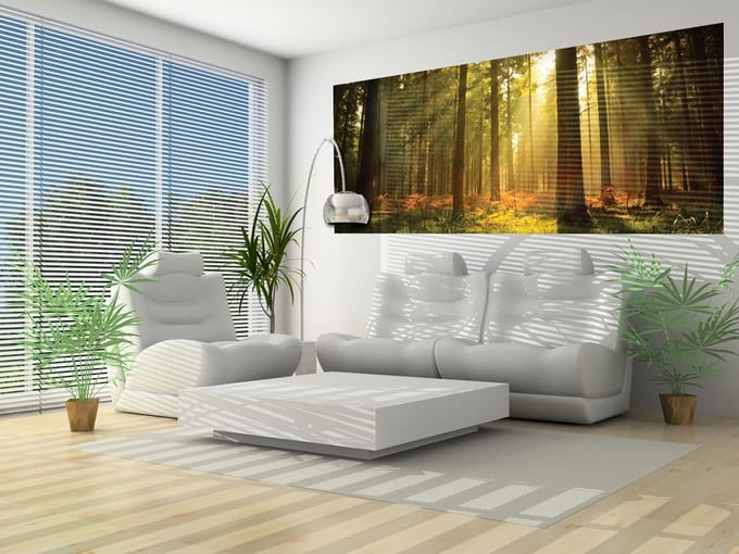 Forest Trees Beam Light Nature Photo Wallcovering