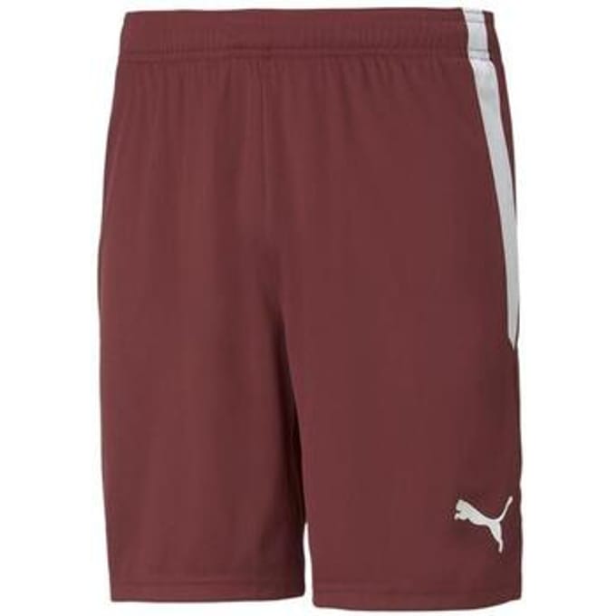 Puma Teamliga Short Heren - Bordeaux | Maat: S