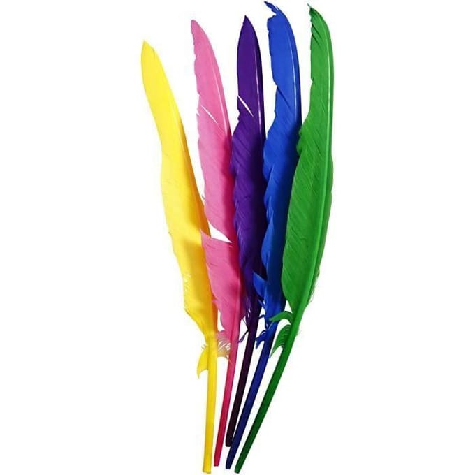 CC Veren Gekleurd l: 27cm 12 stuks