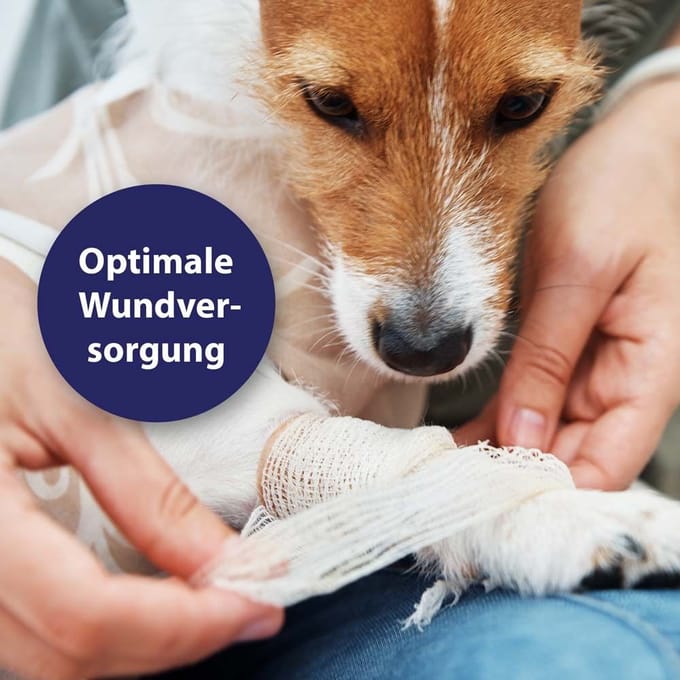 Canosept® Genezende gel voor honden 20 Gel