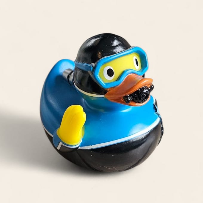 Badeend als duiker scubadiver