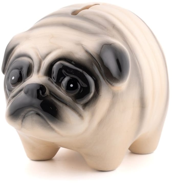 Spaarpot pug