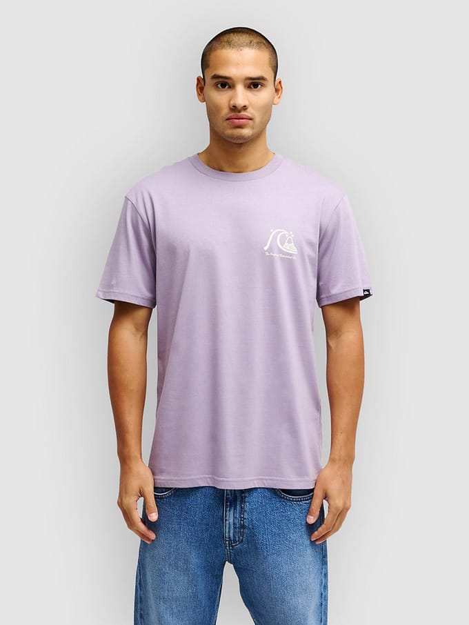 Quiksilver Evo Original Bs T-shirt Met Korte Mouwen Paars M Man