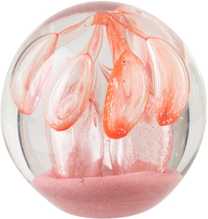 J-Line presse-papier Bal - glas - oranje/roze - small