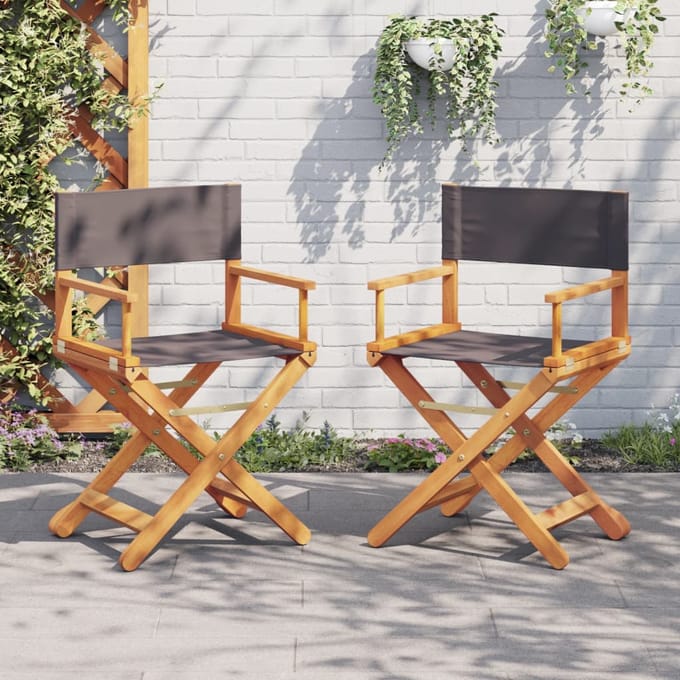 vidaXL - Regisseursstoelen - 2 - st - inklapbaar - stof - donkergrijs