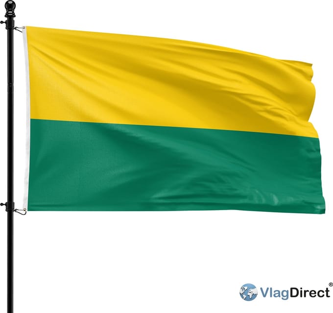 VlagDirect - Haagse vlag - Den Haag vlag - 90 x 150 cm.