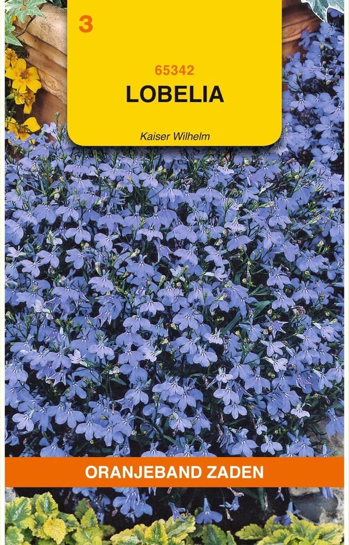 Oranjebandzaden -  Lobelia Kaiser Wilhelm