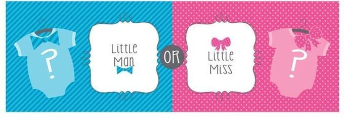 Banner Gender Reveal Little Man Or Miss