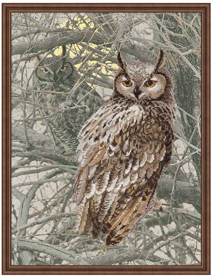 Riolis borduurpakket Eagle Owl 0038
