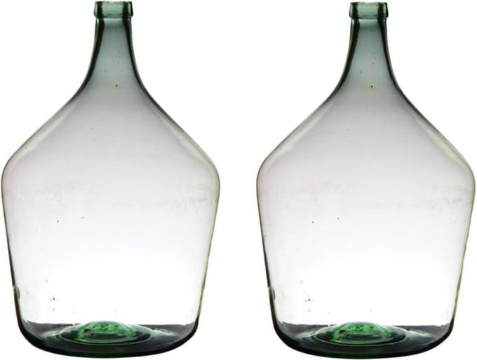 Flesvaas XL - 2x stuks - glas - B29 x H46 cm - Bloemen/takken vaas