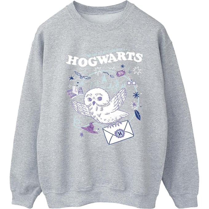 Harry Potter Dames/Dames Uil Brief Van Zweinstein Sweatshirt (Sportgrijs)