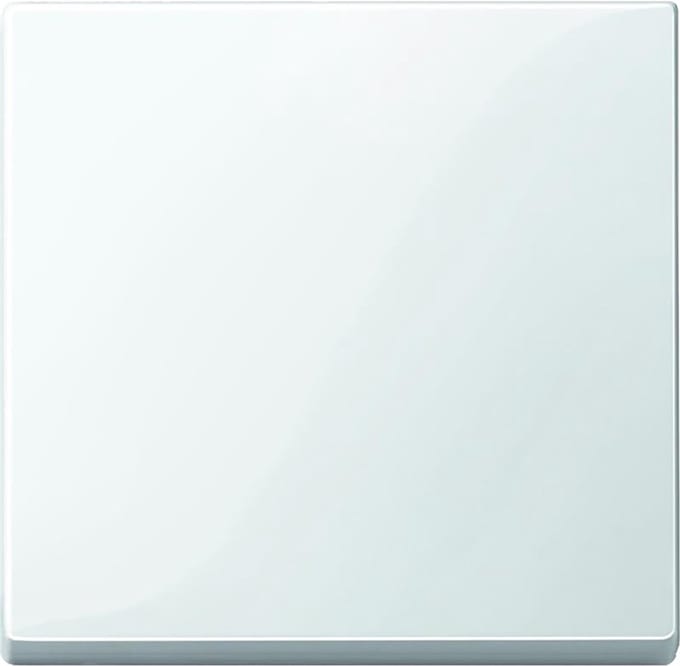 Schneider Electric Merten Systeem M Schakelelement/Centrale Plaat - MTN432119 - E34NX