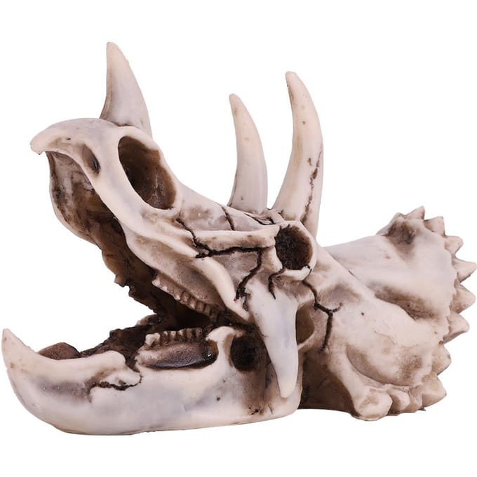 Crâne de dinosaure tricératops en résine, modèle de squelette simulé, décoration pour la maison ou le bureau gray