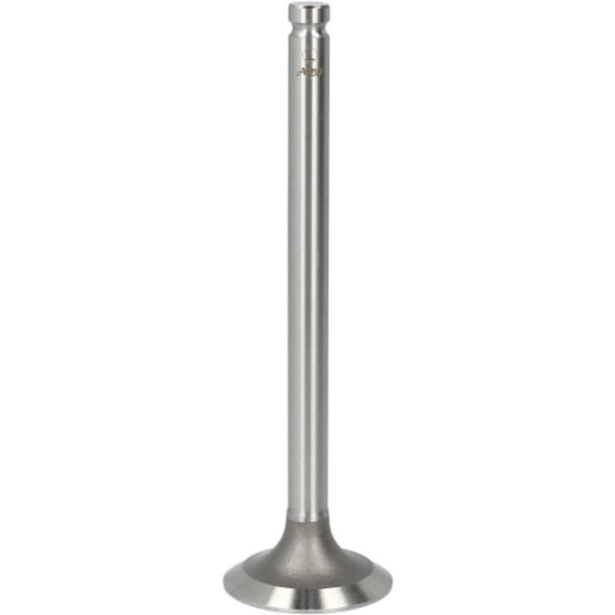 Uitlaatklep PARADOWSCY PURS002