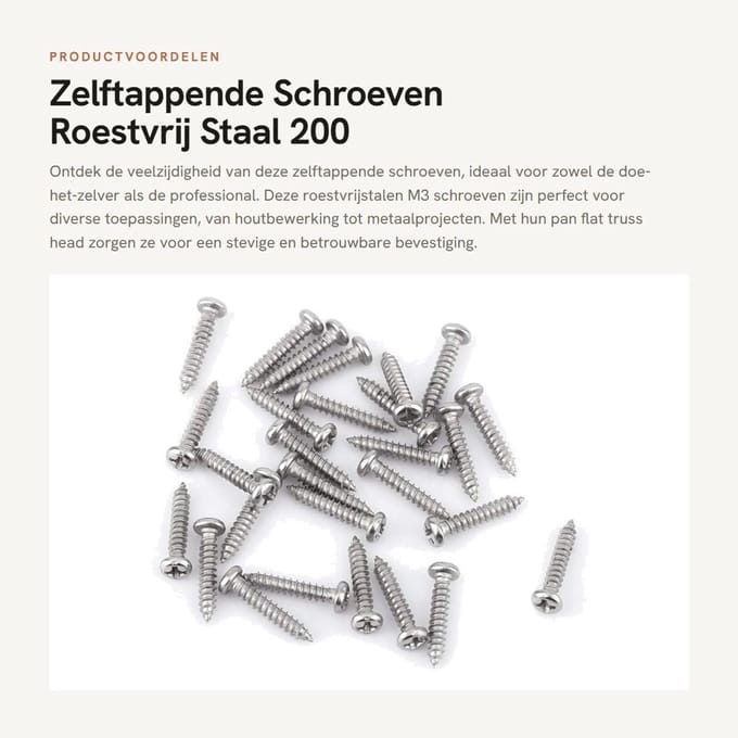 Dailygoods- Zelftappende Schroeven 200st - Roestvrij Staal - Pan/Flat - Truss Head - M3 - Schroevenset