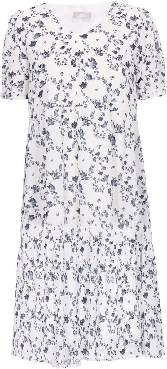 usha Dress