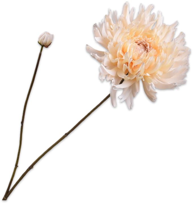 Silk-ka Kunstbloem-Zijde Bloemen Chrysant Tak Creme 101 cm