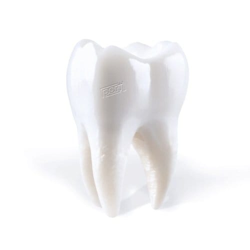 Porij - Teething (CD)