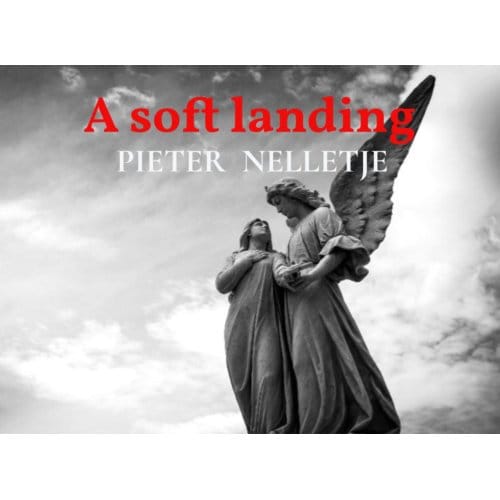 A Soft Landing Oblong - Pieter Nelletje
