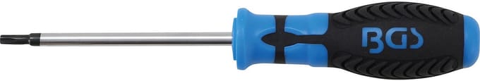BGS schroevendraaier T-profiel (voor Torx) T25 bladelengte 100 mm - 4920