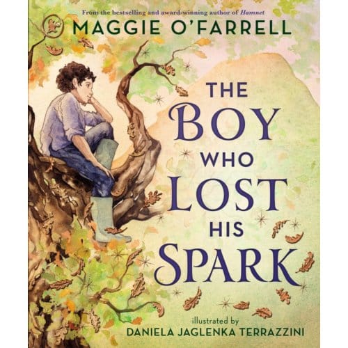 The Boy Who Lost His Spark - Maggie O'Farrell