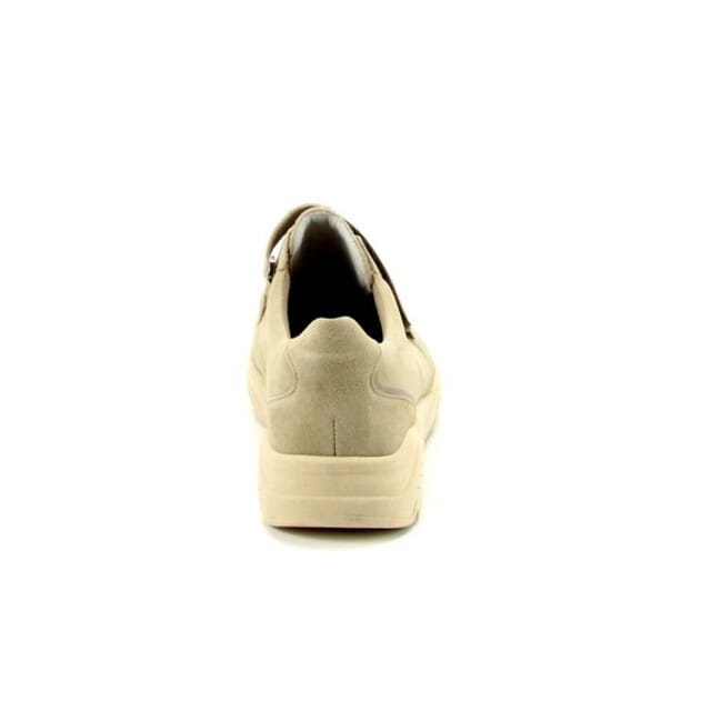 Solidus 43500