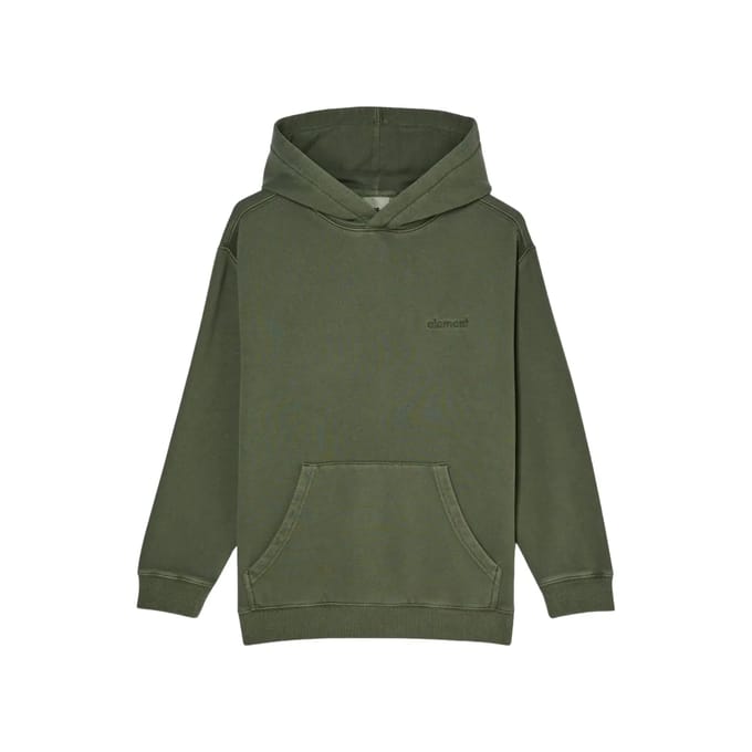 Element Lowcase Pigment Hoodie Groen 16 Years Jongen