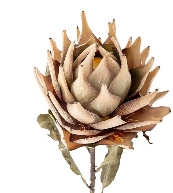 Bloomingville Kunstbloem Protea nature 76cm