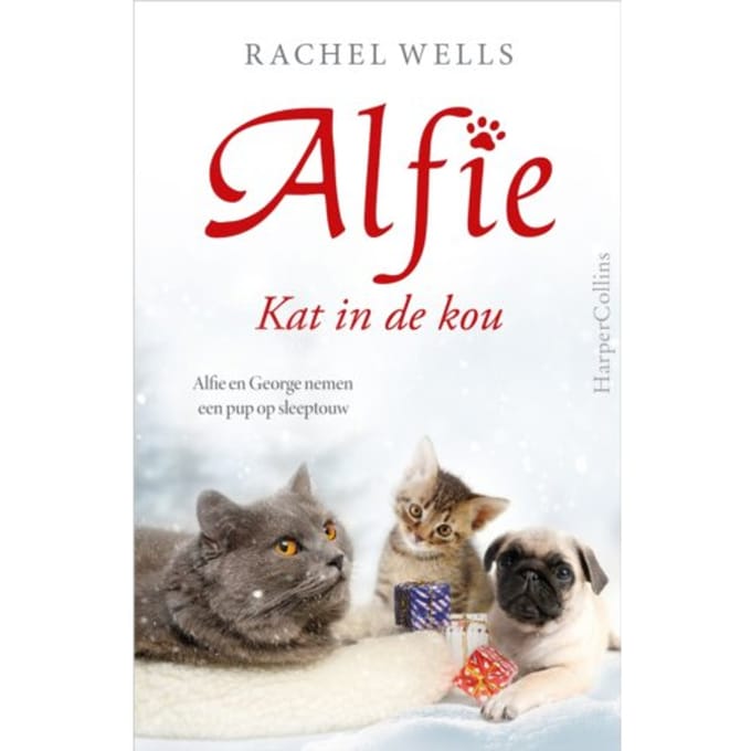 Kat In De Kou - Alfie - Rachel Wells