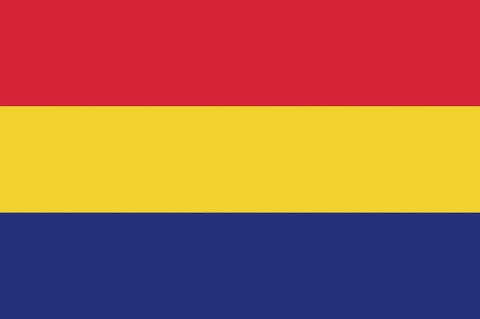 Vlag Carnaval Haverriek 100x150cm