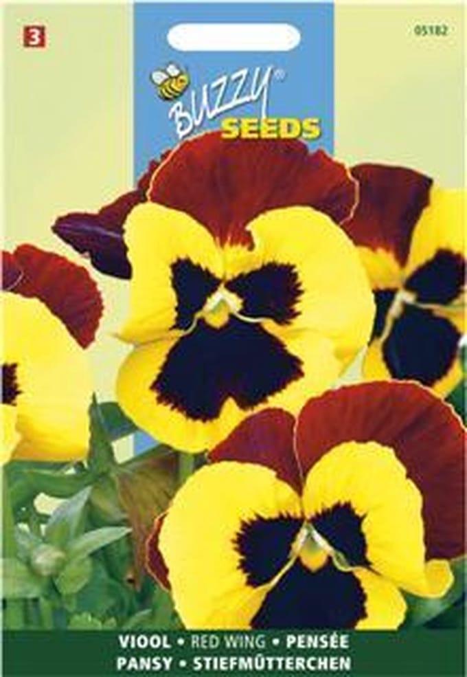 Viool Red Wing (Viola tricolor) Zaden