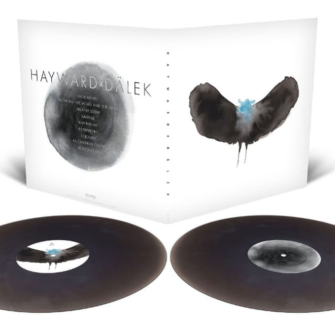 HAYWARDxDÄLEK