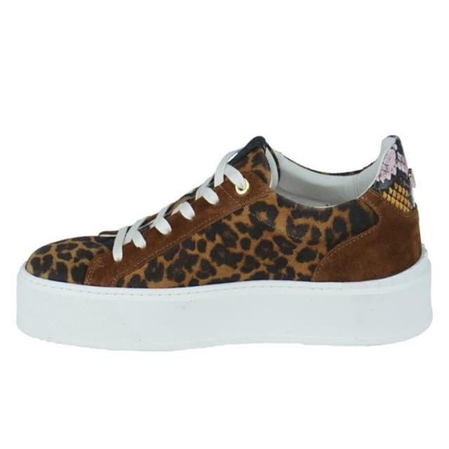 Floris van Bommel Sfw-10106