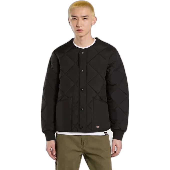 Donsjack Dickies Samburg