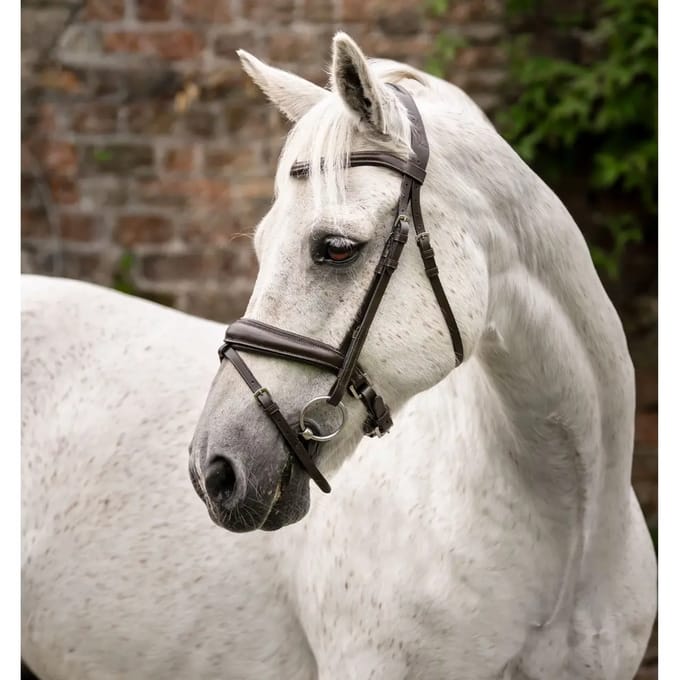 Bridles voor pony Horseware Flash