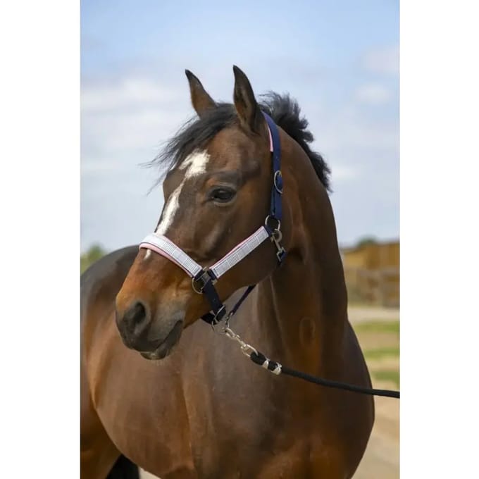Nylon ruitjes halster Equithème