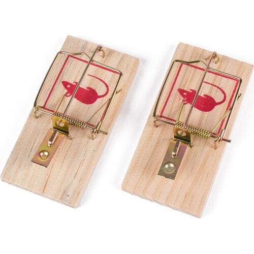 Benson Houten muizenvallen - 10 x 5 x 1 cm - Set van 2 - Snel en effectief