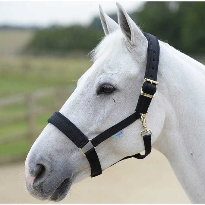 Halster voor paarden Bucas Comfort