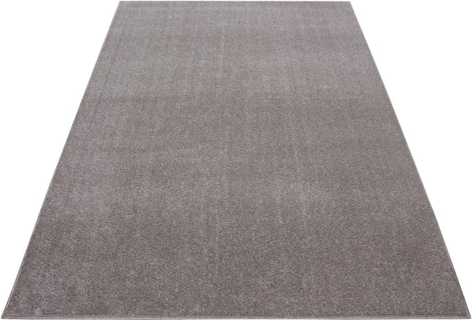 Laagpolig vloerkleed Ata - beige - 80x150 cm