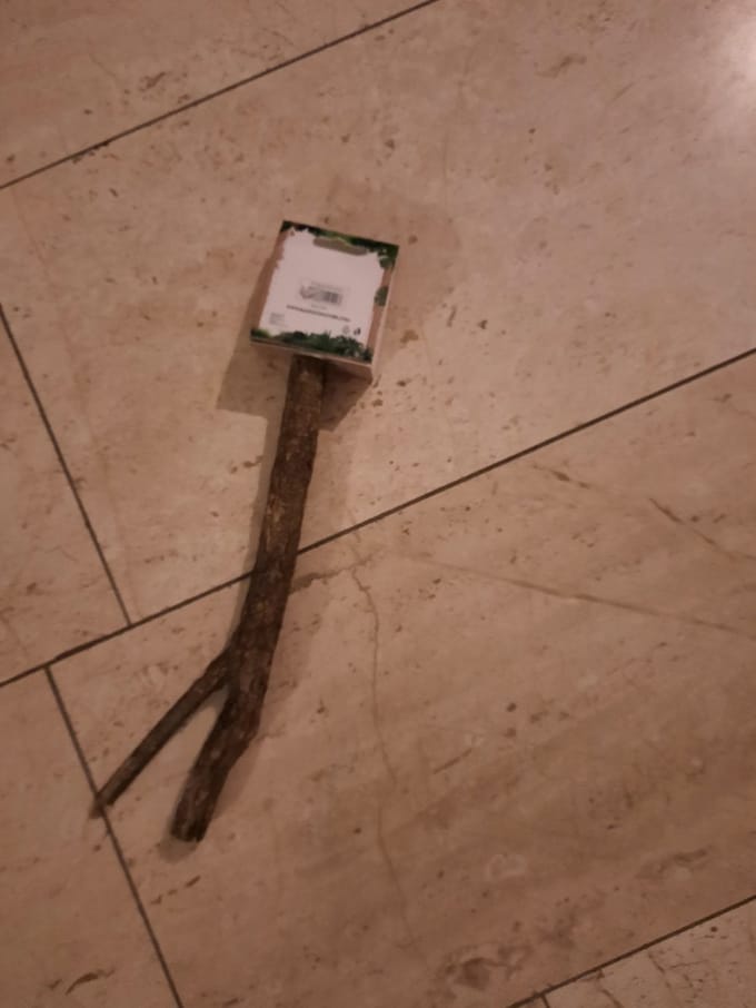 houten zitstok parkiet y/v vorm 30 cm lang